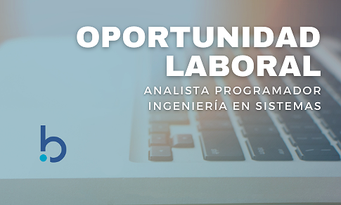 BÚSQUEDA LABORAL - DESARROLLADOR/A