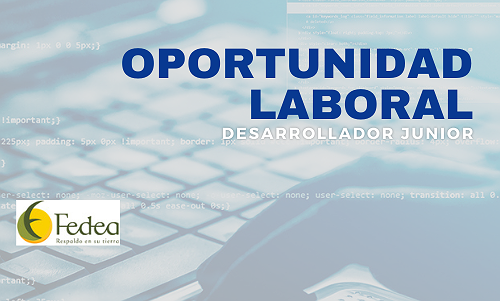 BÚSQUEDA LABORAL - DESARROLLADOR/A