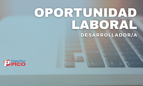 BÚSQUEDA LABORAL - DESARROLLADOR/A