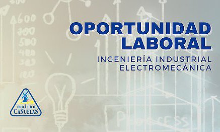 BÚSQUEDA LABORAL: INGENIERÍA ELECTROMECÁNICA/INDUSTRIAL