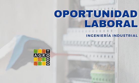 BÚSQUEDA LABORAL: INGENIERÍA INDUSTRIAL