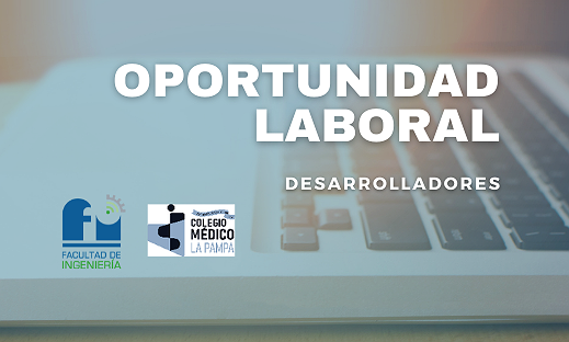 BÚSQUEDA LABORAL - DESARROLLADOR