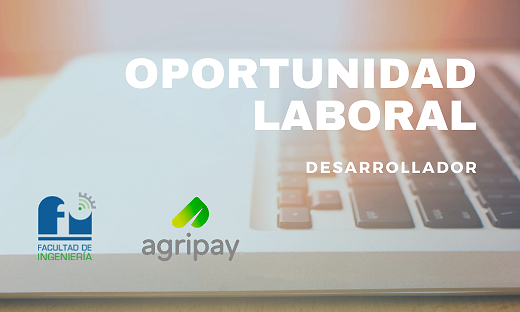 BÚSQUEDA LABORAL - Desarrollador