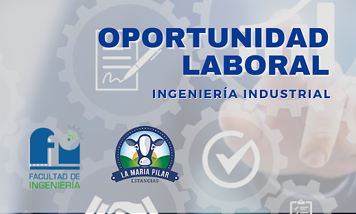 BÚSQUEDA LABORAL - INGENIERÍA INDUSTRIAL