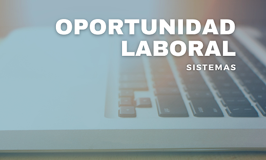 BÚSQUEDA LABORAL - SISTEMAS