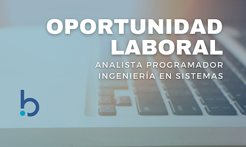 BÚSQUEDA LABORAL - SISTEMAS