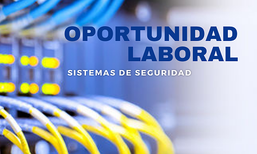 BÚSQUEDA LABORAL - SISTEMAS DE SEGURIDAD