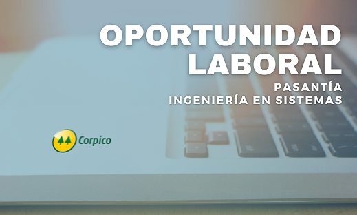 BÚSQUEDA LABORAL: PASANTÍA INGENIERÍA EN SISTEMAS