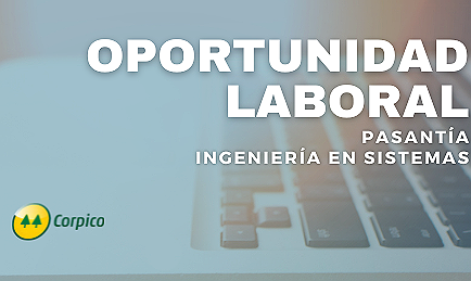 BÚSQUEDA LABORAL: PASANTÍA INGENIERÍA EN SISTEMAS