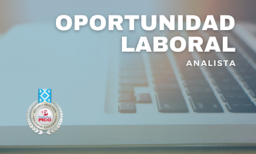 BÚSQUEDA LABORAL – ANALISTA