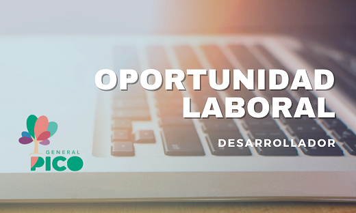 BÚSQUEDA LABORAL – DESARROLLADOR