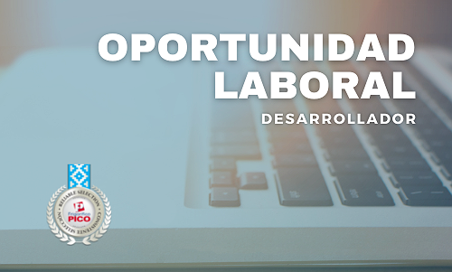 BÚSQUEDA LABORAL – DESARROLLADOR