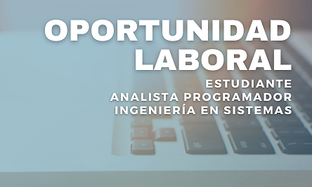BÚSQUEDA LABORAL – DESARROLLO DE APP