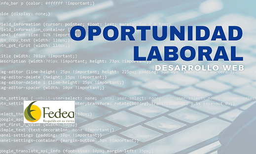 BÚSQUEDA LABORAL – DESARROLLO WEB