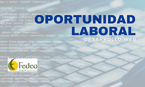 BÚSQUEDA LABORAL – DESARROLLO WEB