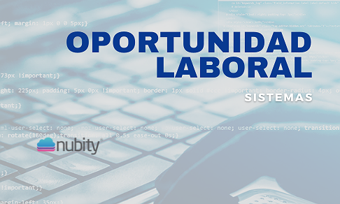 BÚSQUEDA LABORAL – DESARROLLO WEB