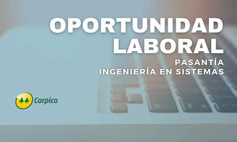 BÚSQUEDA LABORAL – PASANTÍA INGENIERÍA EN SISTEMAS