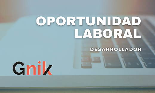 BUSQUEDA LABORAL - DESARROLLADOR