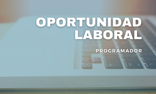 BUSQUEDA LABORAL - PROGRAMADOR