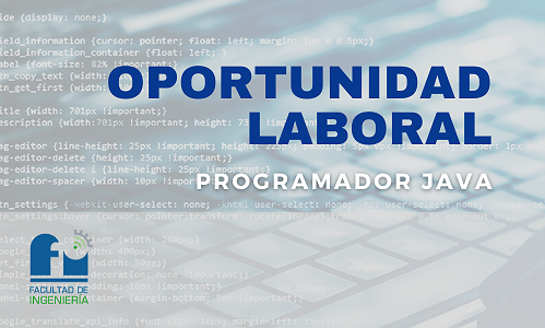 BUSQUEDA LABORAL - PROGRAMADOR JAVA