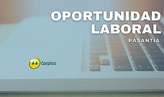 OPORTUNIDAD LABORAL: PASANTÍA CORPICO