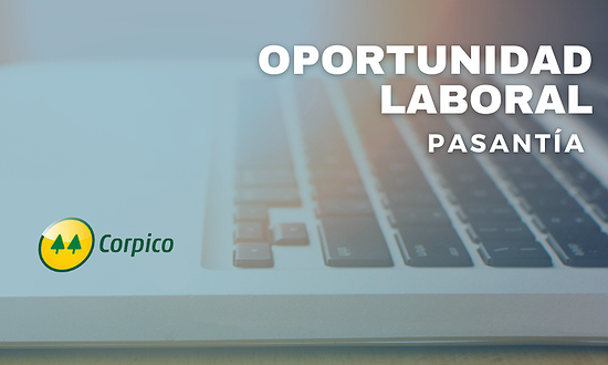 OPORTUNIDAD LABORAL: PASANTÍA EN CORPICO