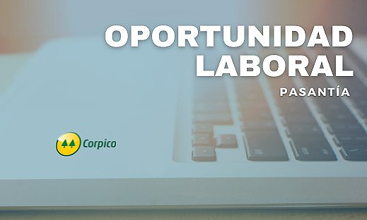 OPORTUNIDAD LABORAL: PASANTÍA CORPICO