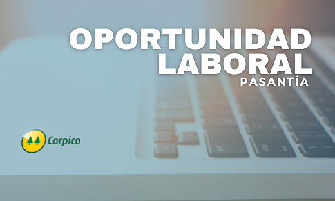 OPORTUNIDAD: PASANTÍA ANALISTA/INGENIERÍA EN SISTEMAS