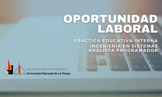 PRÁCTICA EDUCATIVA INTERNA: ANALISTA PROGRAMADOR/INGENIERÍA EN SISTEMAS