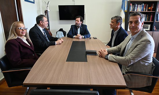 REUNIÓN DE SEGUIMIENTO DE LA DIPLOMATURA EN INNOVACIÓN TECNOLÓGICA APLICADA AL CONTROL PÚBLICO